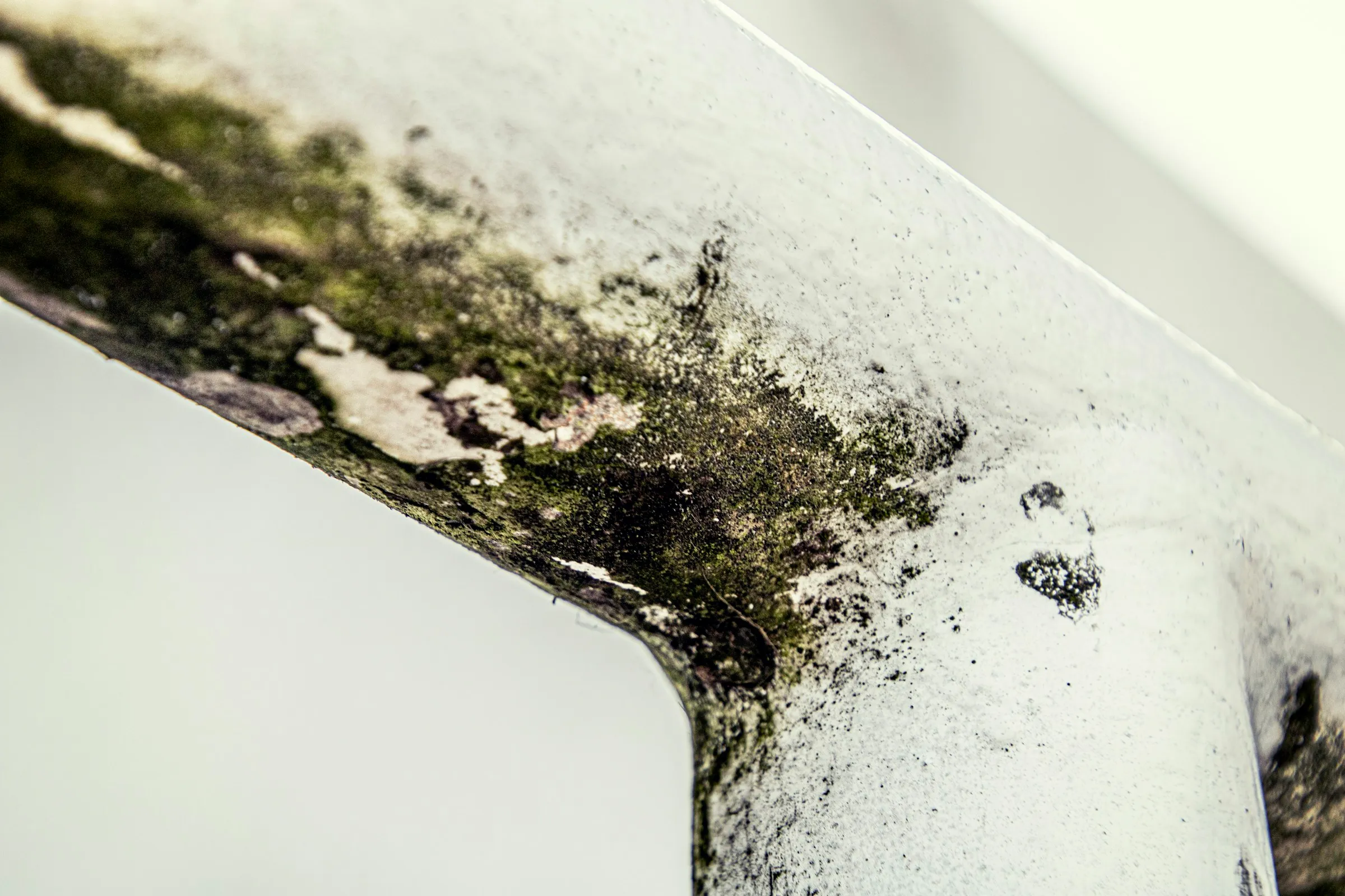 Dark mould spreading along the corner of a white window frame